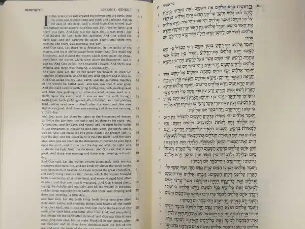 Large Bible 'Radiant' - Hebrew and English Translated - Leather binding 3