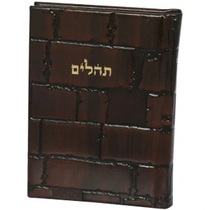 Tehilim "Barchi Nafshi" with the Western Wall cover 1